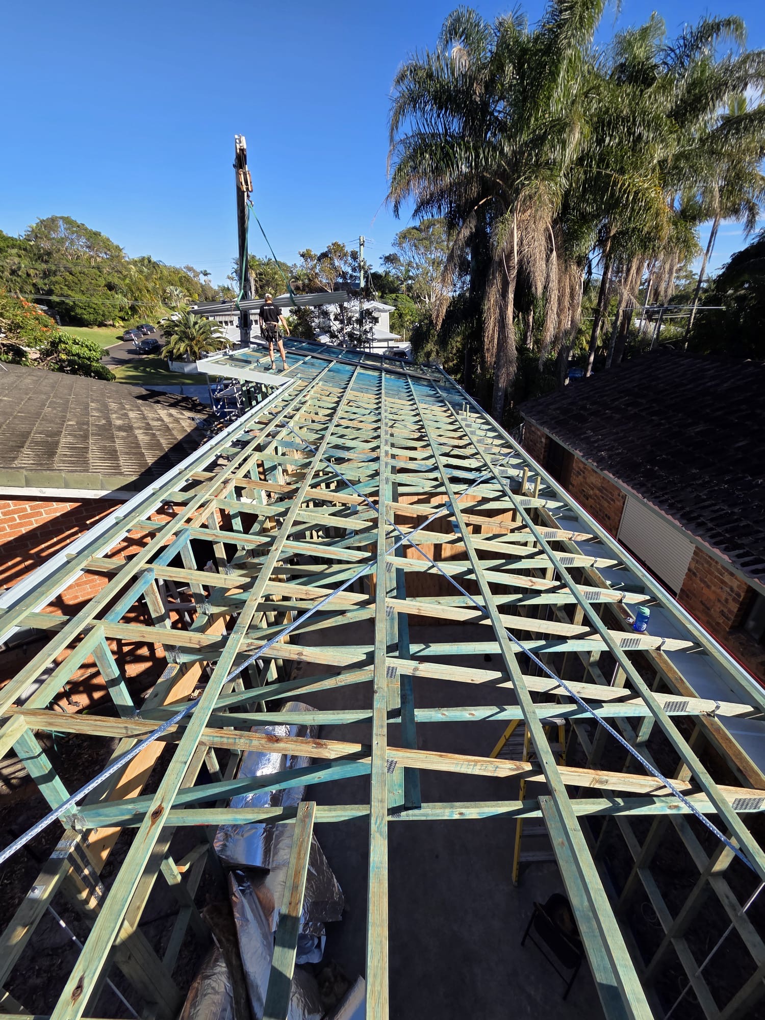 View along exposed timber roof framing during construction